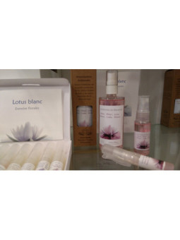 Armonizador Ambiental Amor