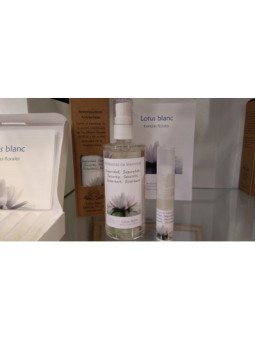 Armonizador Ambiental Seguridad