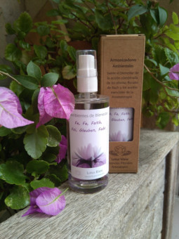 Armonizador Ambiental Fe