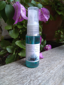 Armonizador Ambiental Esperanza