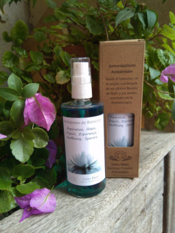 Armonizador Ambiental Esperanza