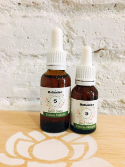 Complex Motivación y Coraje