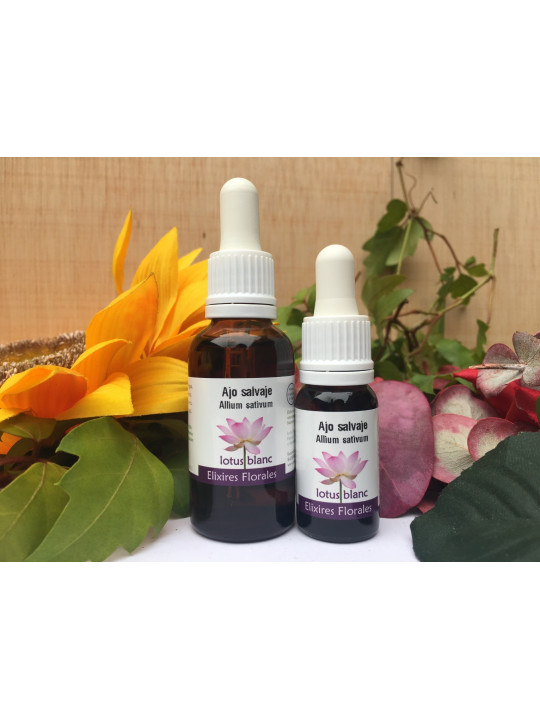 Ajo Salvaje
