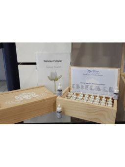 Set de Flores de Bach