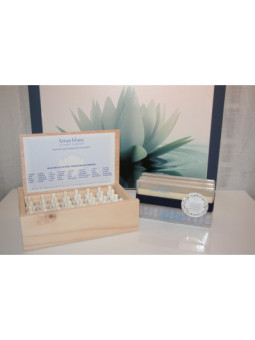 Set de Bach Kinesiología