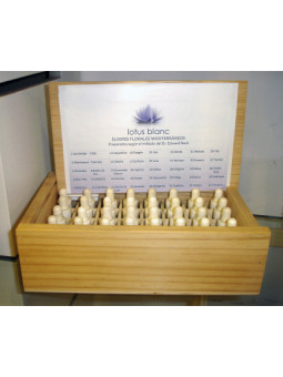 Set Nuevas Esencias mediterraneas