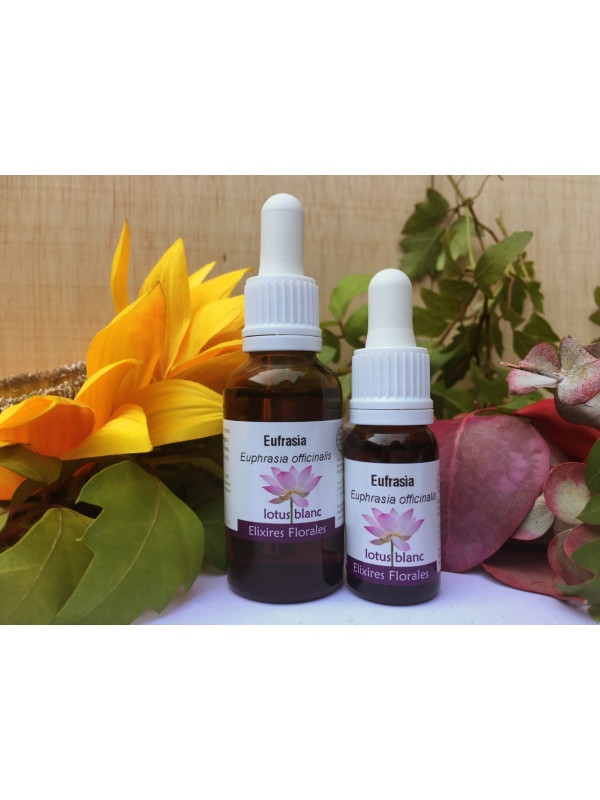 Eufrasia