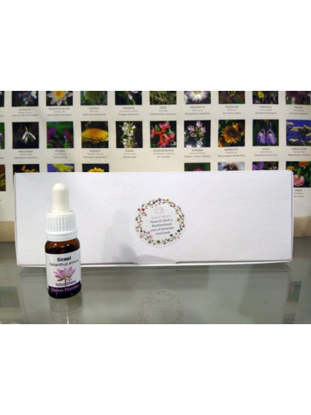 Set de 10 elixires Florales Mediterràneas