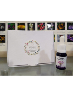 Set 5 Flores Mediterráneas