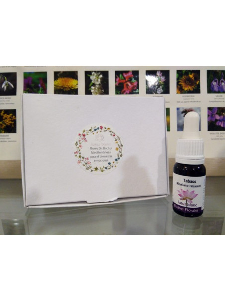 Set 5 Flores Mediterráneas