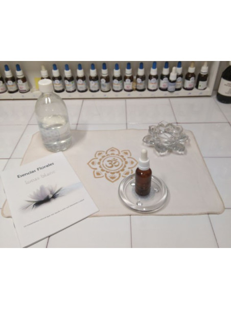 Kit Ritual Armonizador