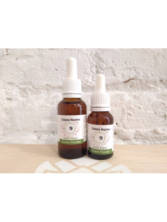 Complex Dulces Noches