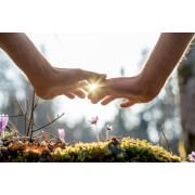 ¿Que son las flores de Bach?