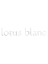 Lotus Blanc
